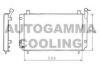 AUTOGAMMA 100641 Radiator, engine cooling